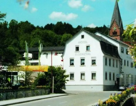 Elsenztal Hotel