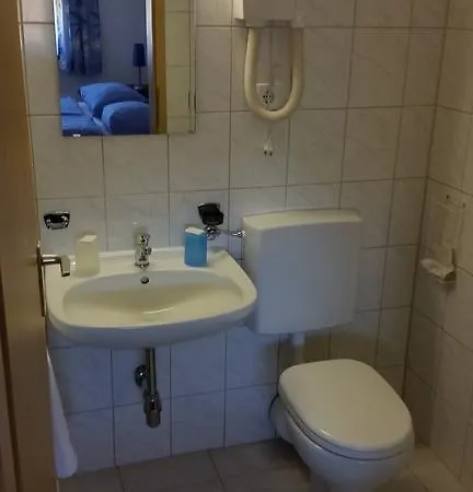 Elsenztal Hotel 2*